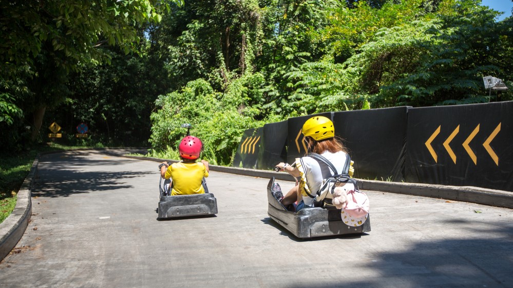 Luge and Sky