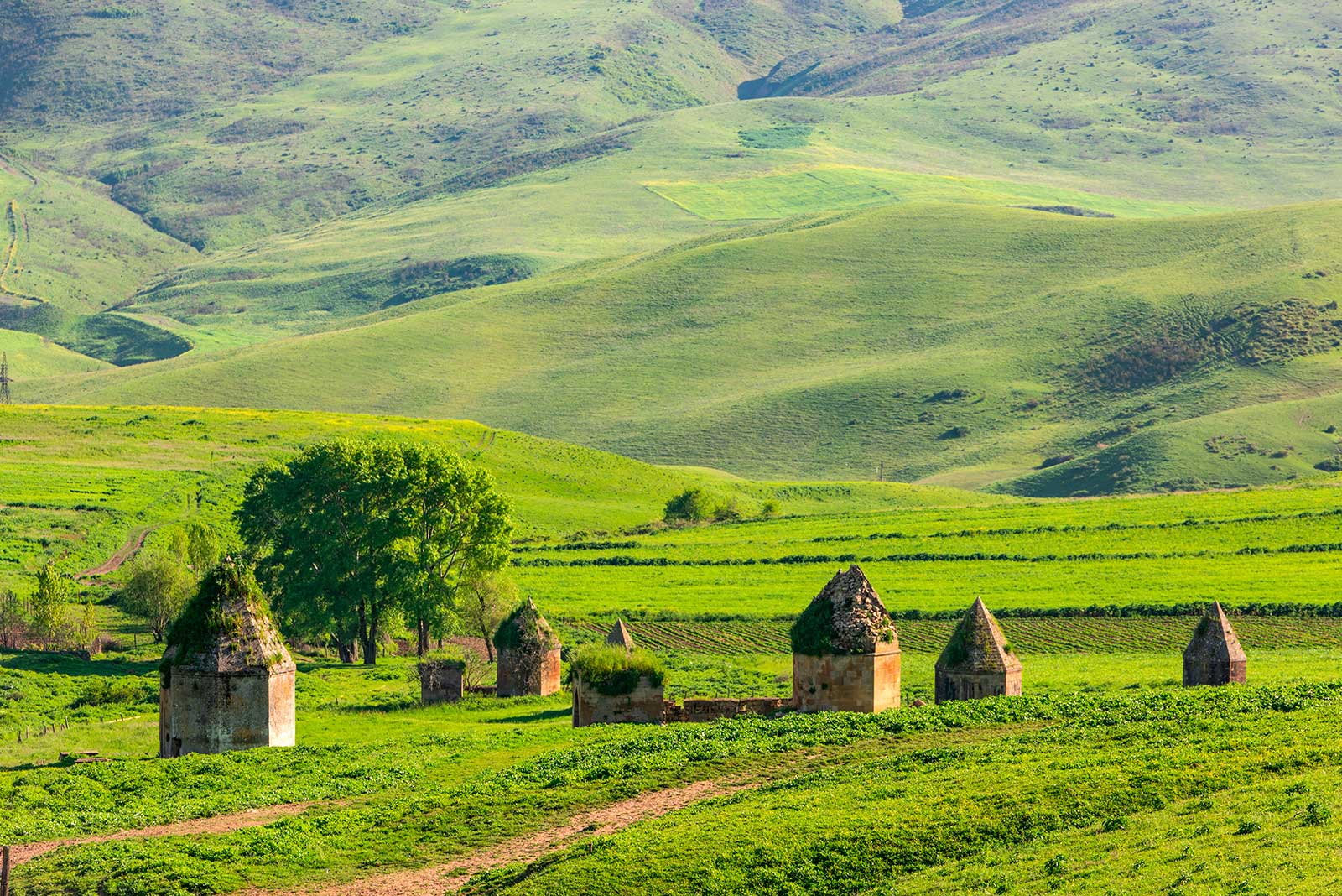 От улиц Баку до сокровищ Шемахи